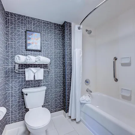 Hotel Homewood By Hilton-anaheim 3*