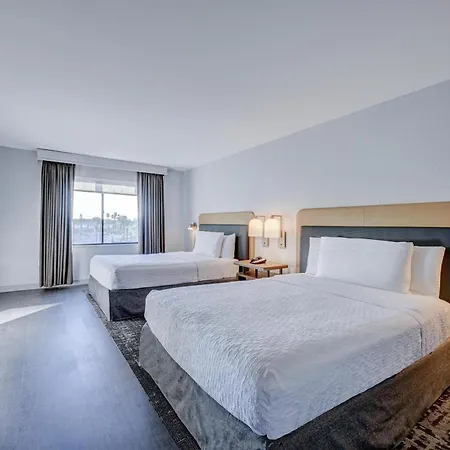 Homewood By Hilton-anaheim Hotel Garden Grove